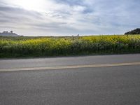 the road is empty in the daytime sky with white clouds and yellow flowers by the roadside