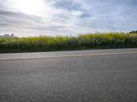 the road is empty in the daytime sky with white clouds and yellow flowers by the roadside