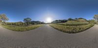 a 360 lens view of an empty road with a tree in the foreground, on top of a hill with bushes in front