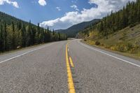 a car drives down an empty road with cows standing around in the road and animals on the side