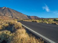 a curve in the middle of an empty highway with some weeds growing on it and a small desert in the foreground