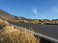 a curve in the middle of an empty highway with some weeds growing on it and a small desert in the foreground