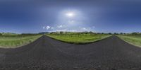 a camera lens view of an empty road in the countryside with tall grass and sun shining