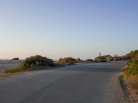 an empty road in the desert with no traffic on it, on the beach with many shrubs