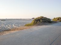 an empty road in the desert with no traffic on it, on the beach with many shrubs