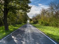 an empty road with trees and bushes in the foreground while it is almost empty