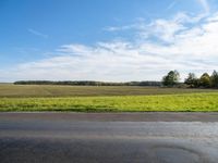 an empty road with grass and trees in the background on the horizon, with a blue sky above