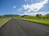 a wide empty road with a green mountain in the background and mountains beyond it in a field