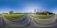 a panoramic view showing what is happening on an empty road in a green pasture