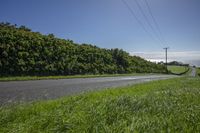 an empty road is lined with green vegetation and plants on both sides, against a backdrop of water