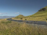 an empty road passing through the mountains with yellow flowers in a grassy field, on a clear day