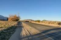 a empty street in the middle of a barren plain with dry grass growing beside it