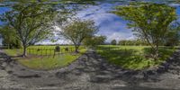 an empty road is surrounded by lush green fields with trees at the end of it