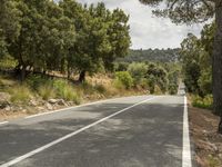 an empty road is shown in this undpicture image, with the trees surrounding it