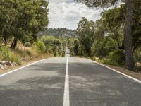 an empty road is shown in this undpicture image, with the trees surrounding it