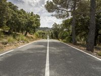 an empty road is shown in this undpicture image, with the trees surrounding it