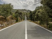 an empty road is shown in this undpicture image, with the trees surrounding it