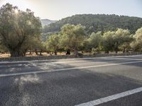 the empty road is lined with trees and mountains in the background there are lots of trees and hills