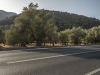 the empty road is lined with trees and mountains in the background there are lots of trees and hills