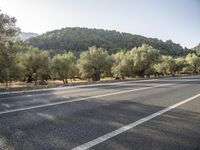 the empty road is lined with trees and mountains in the background there are lots of trees and hills