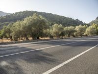 the empty road is lined with trees and mountains in the background there are lots of trees and hills