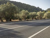 the empty road is lined with trees and mountains in the background there are lots of trees and hills