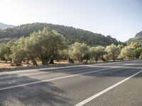 the empty road is lined with trees and mountains in the background there are lots of trees and hills