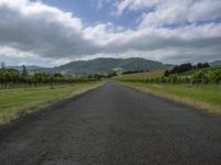 an empty road through some large grassy areas in the distance is the valley where vineyards are grown