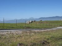 an empty road with mountains in the distance while two horses graze on grass behind it