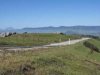 an empty road with mountains in the distance while two horses graze on grass behind it