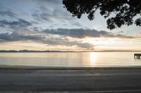 An Empty Road in New Zealand: Bathed in Dawn Light