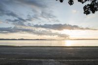 An Empty Road in New Zealand: Bathed in Dawn Light