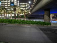 an empty road at night beneath tall buildings with palm trees next to the road below