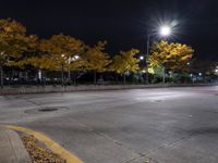 empty road at night, with yellow and red leaves on the curb and street lights