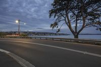 the road next to the water is empty at night with no traffic on it, and the trees are in the distance