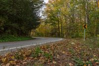 an empty road with lots of leaves on the ground and a turn sign above it