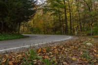 an empty road with lots of leaves on the ground and a turn sign above it