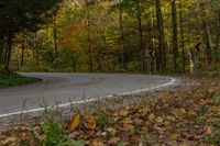 an empty road with lots of leaves on the ground and a turn sign above it