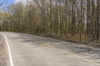 a road that is empty in the woods and has trees growing around it on both sides and no leaves on the ground,