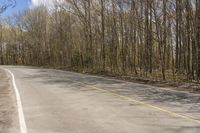 a road that is empty in the woods and has trees growing around it on both sides and no leaves on the ground,