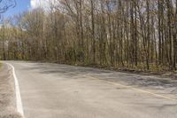 a road that is empty in the woods and has trees growing around it on both sides and no leaves on the ground,