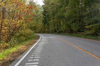 an empty road is on a forest side near trees and bushes with autumn foliages