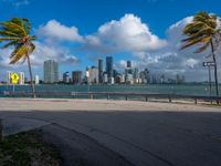 an empty road with palm trees and cityscape in the background with blue skies