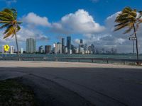 an empty road with palm trees and cityscape in the background with blue skies