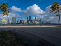 an empty road with palm trees and cityscape in the background with blue skies