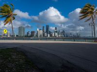 an empty road with palm trees and cityscape in the background with blue skies