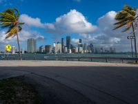 an empty road with palm trees and cityscape in the background with blue skies