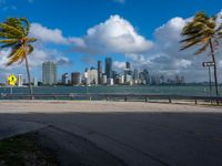 an empty road with palm trees and cityscape in the background with blue skies