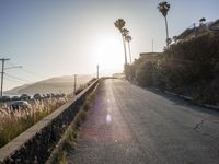 an empty road and a row of palm trees line the street as the sun sets