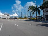 a empty empty street with palm trees and a sky background at the end of an airport